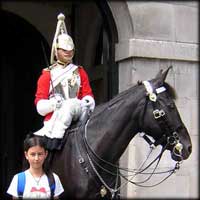 Horse guards