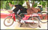 Sleeping moto