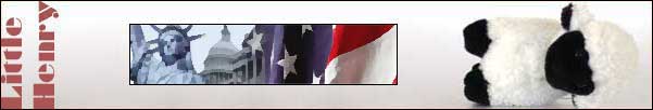 America banner