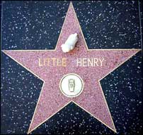 Little Henry - big star